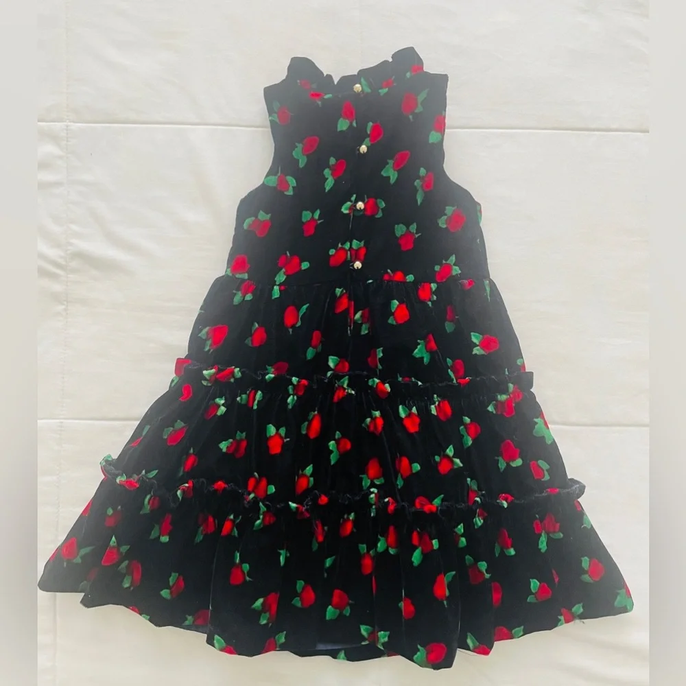 JANIE and JACK Gorgeous Velvet Rose Dress Special Occasion Party Festive Photos - Picture 4 of 4